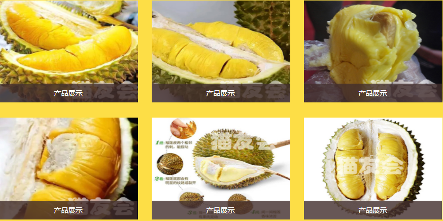 果管家（大連）電子商務(wù)有限公司